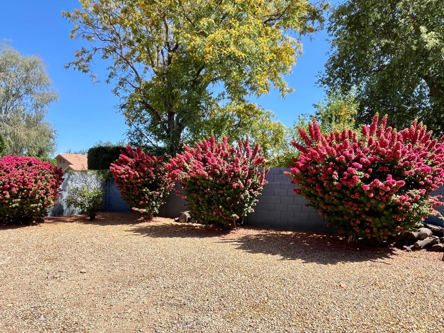 8175 W Marco Polo Road