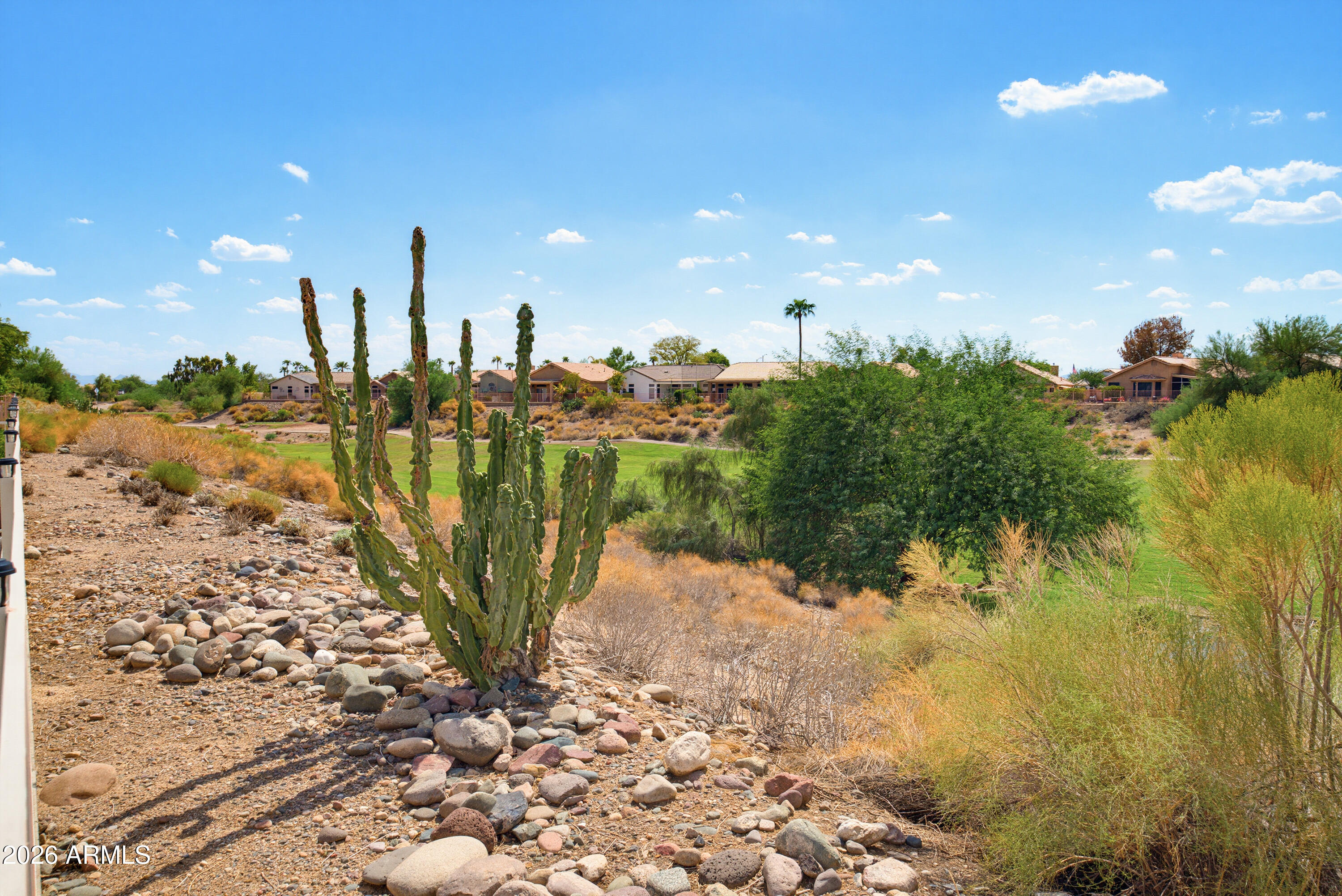 11546 W KING SNAKE Court