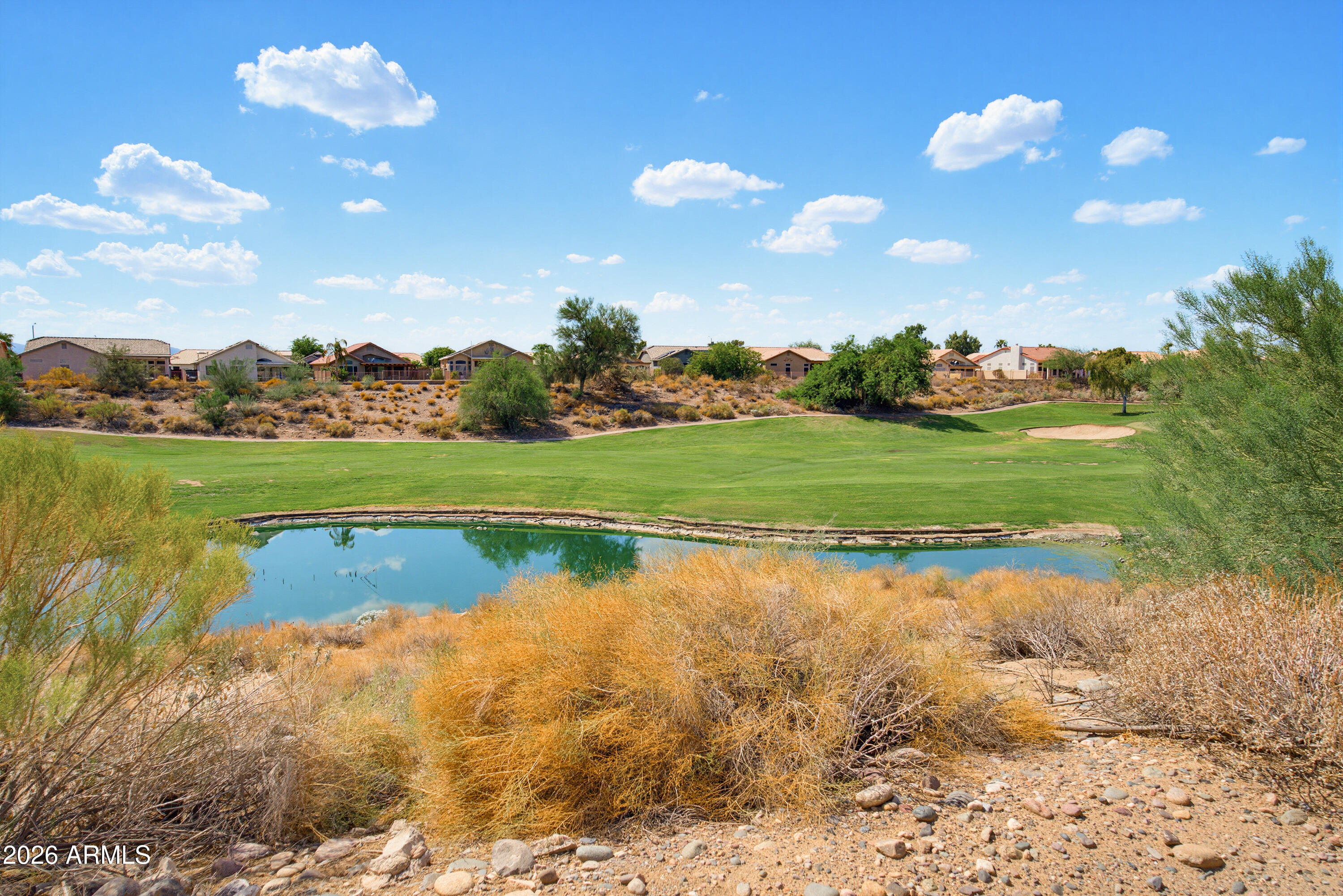 11546 W KING SNAKE Court
