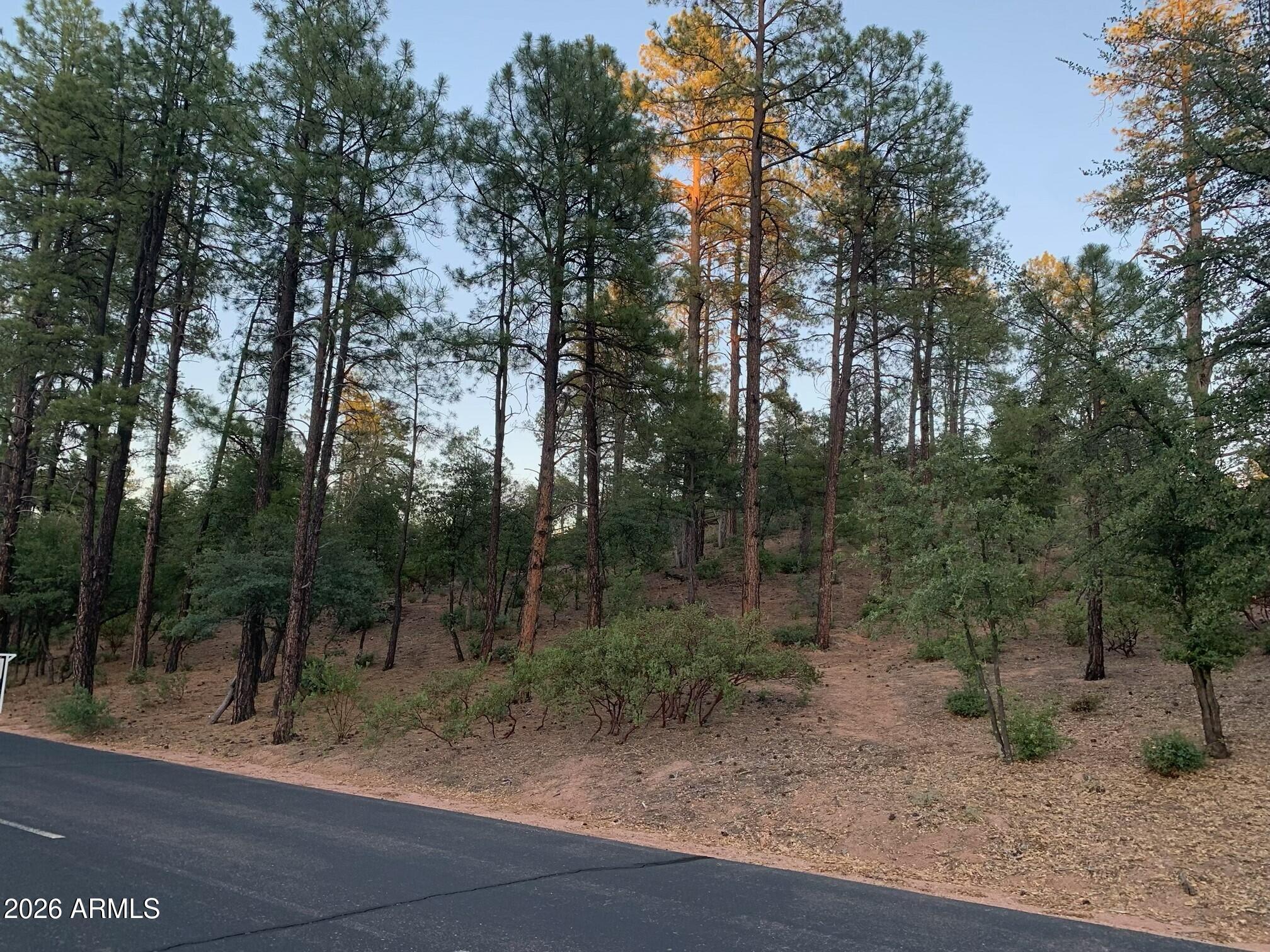 805 S Monument Valley Drive 166