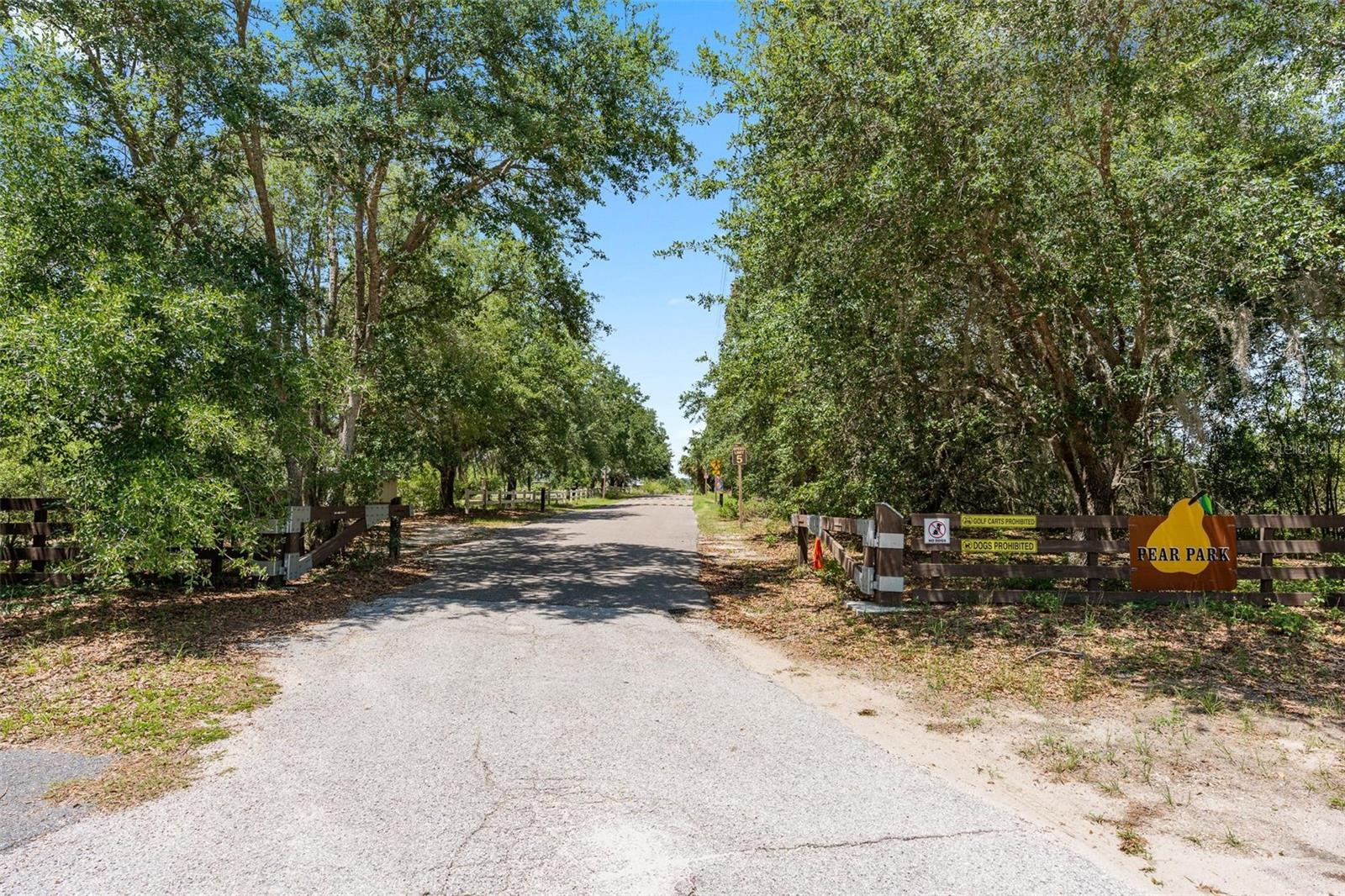 5515 WINDSONG OAK DR