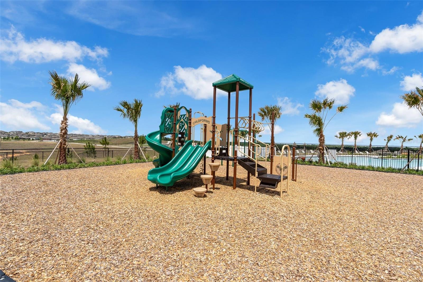 2019 SUNSHINE PEAK DR