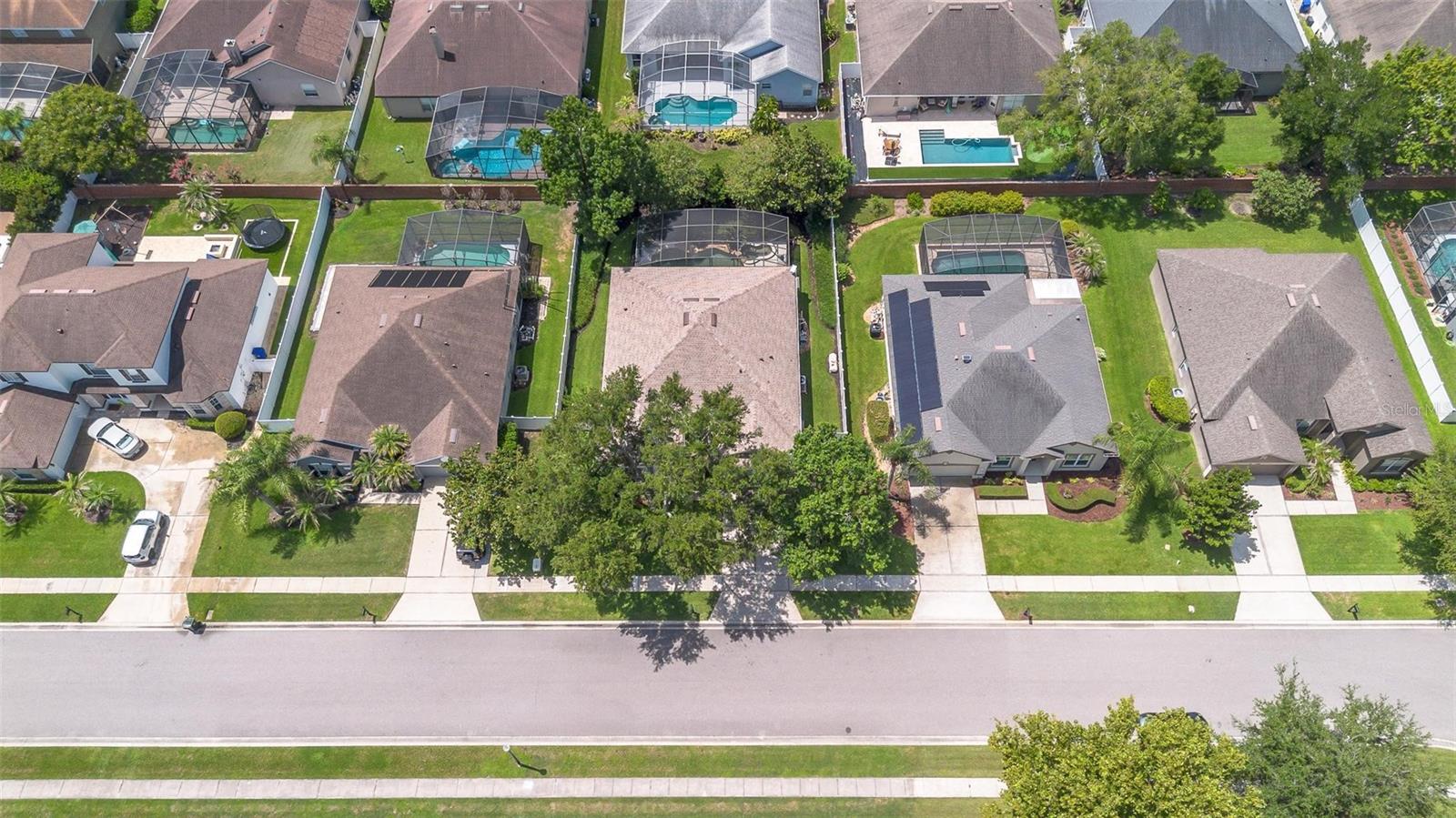 644 CHESTER PINES CT