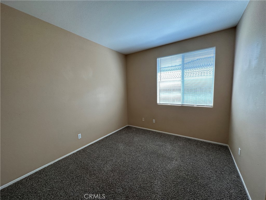 24534 Dunlavy Court
