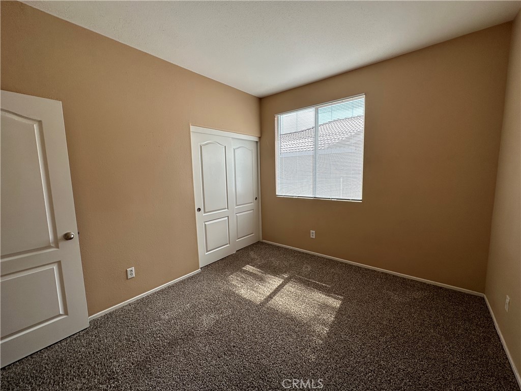 24534 Dunlavy Court