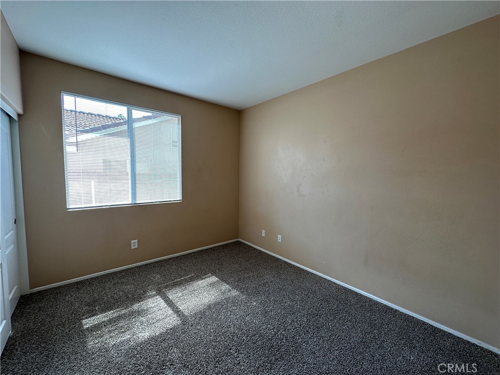 24534 Dunlavy Court