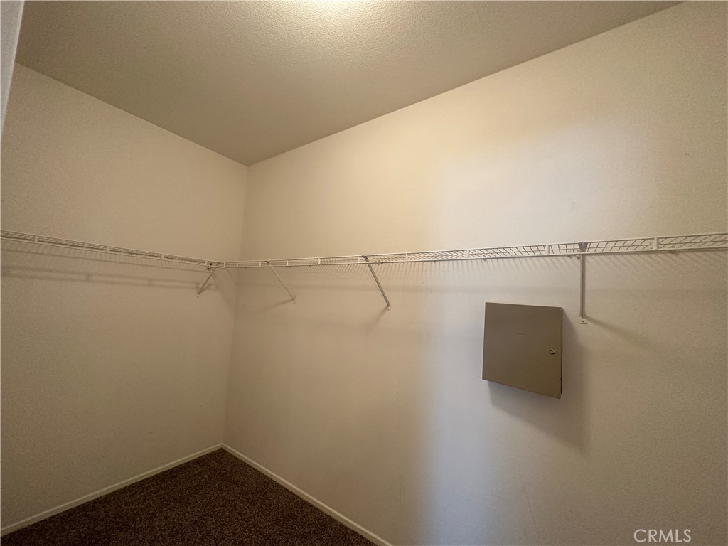 24534 Dunlavy Court