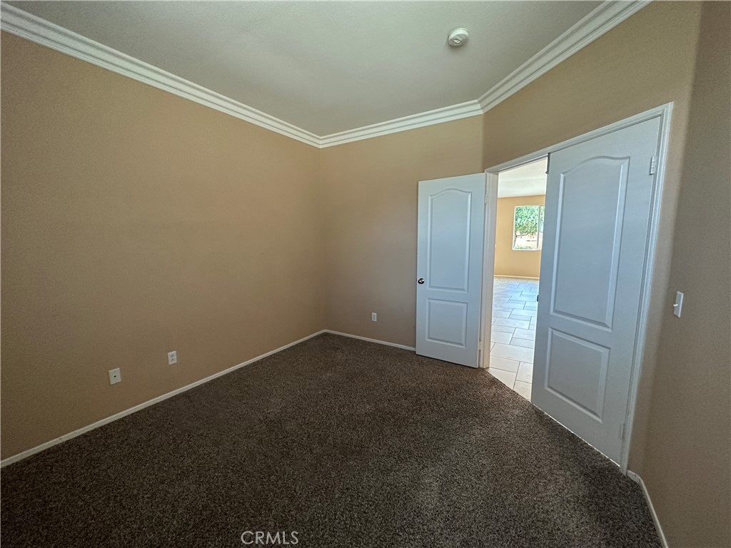 24534 Dunlavy Court