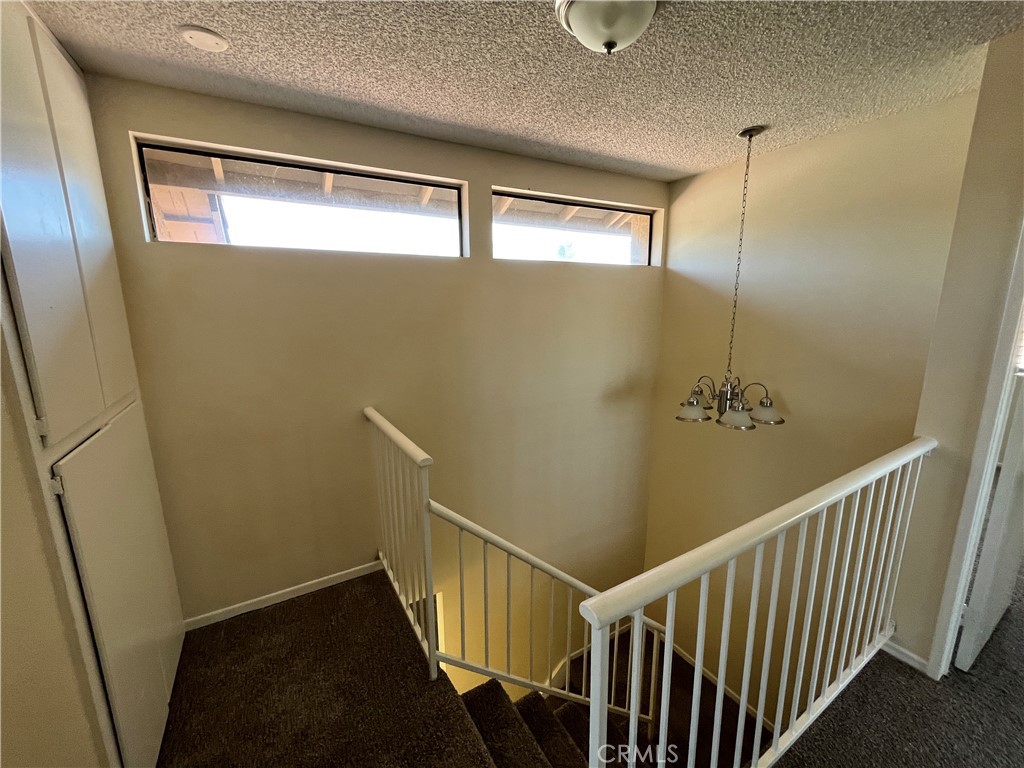 25439 Steffy Circle