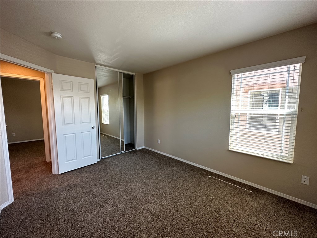 3641 Ginger Street