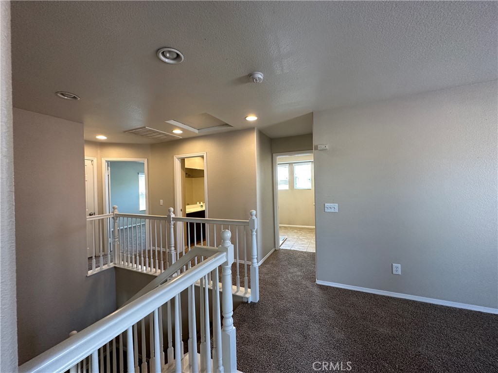 3641 Ginger Street
