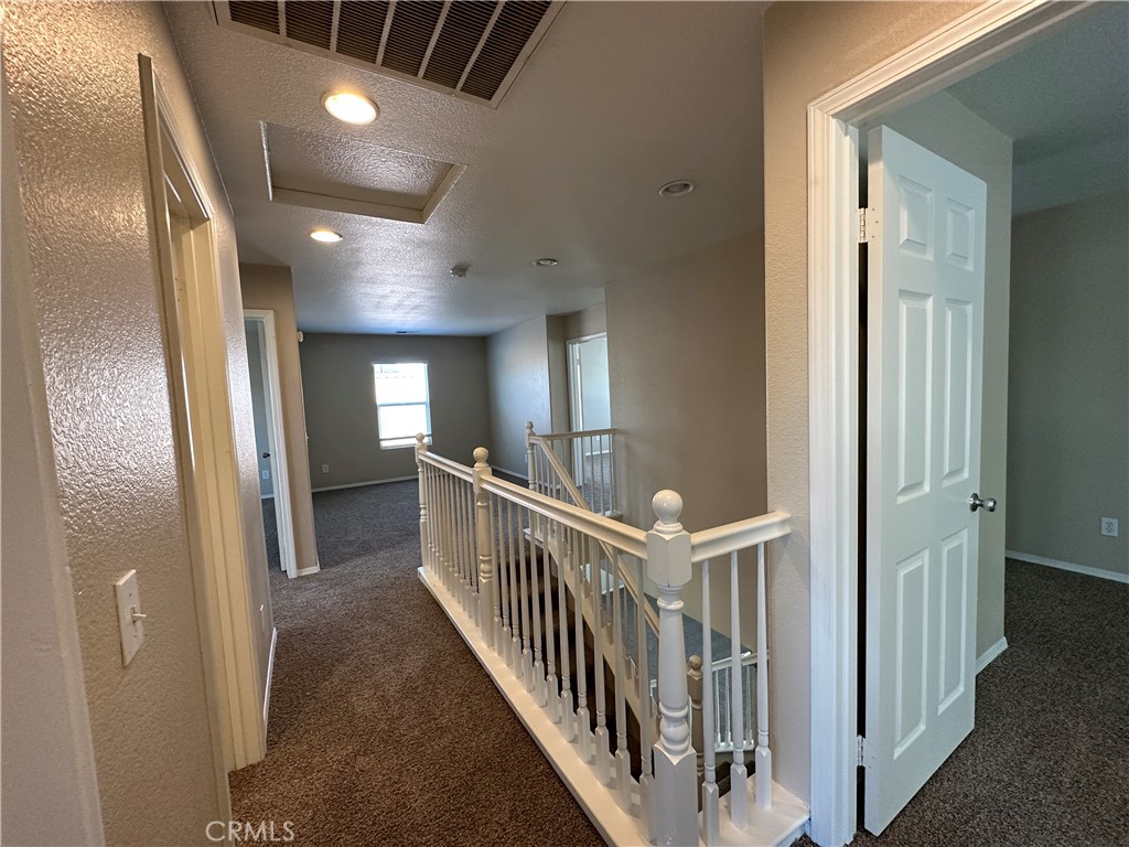 3641 Ginger Street