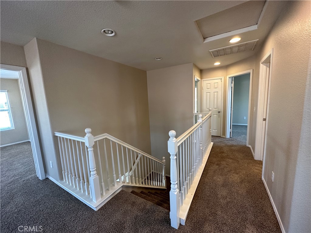 3641 Ginger Street