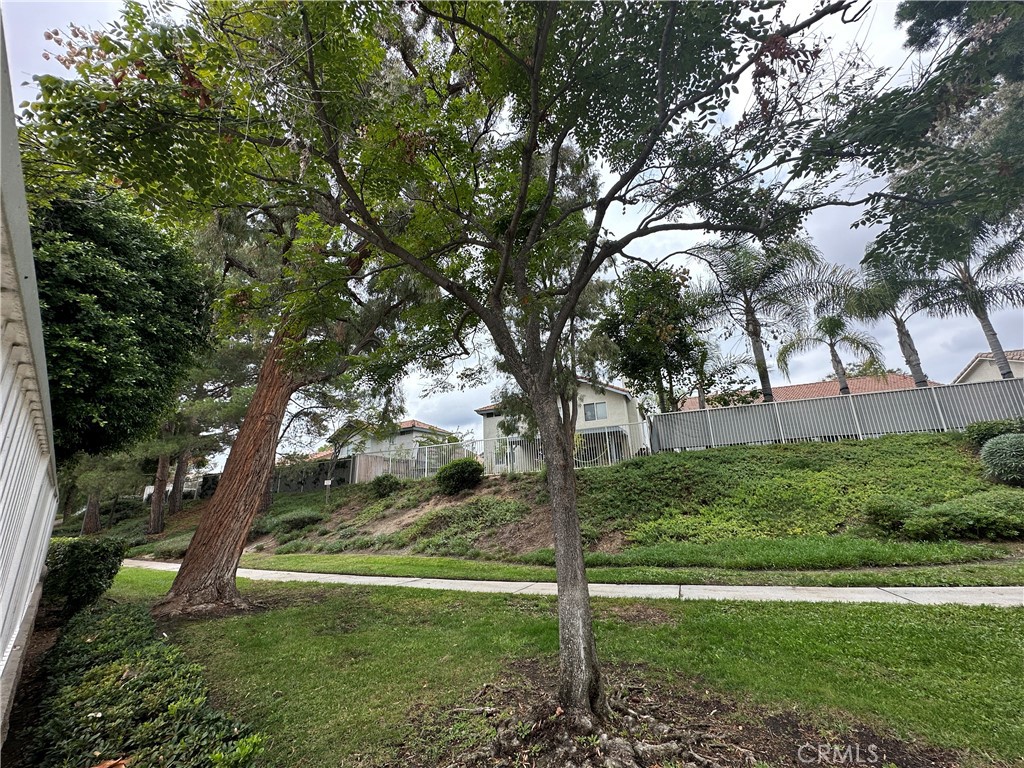 19229 White Dove Lane