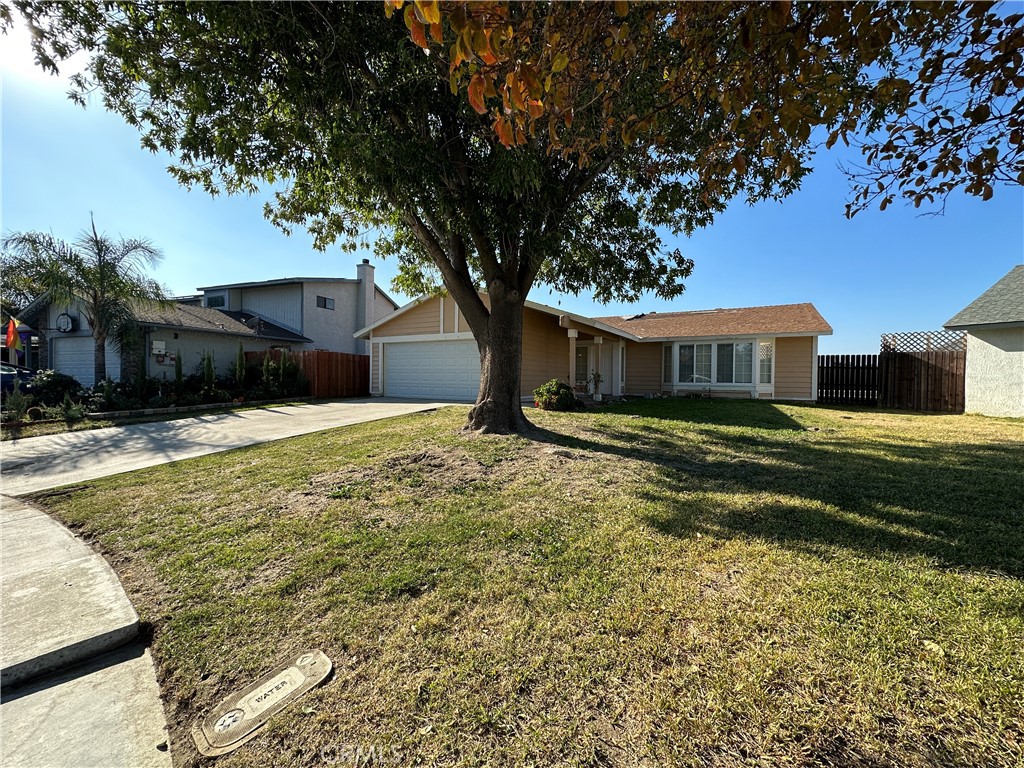 557 Wimbledon Drive
