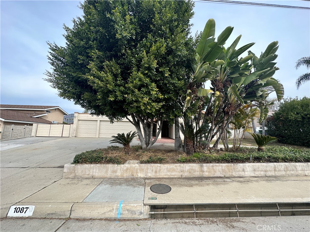 1087 Baseline Road