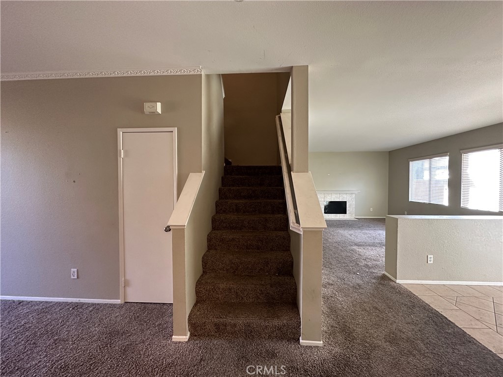 3344 Saguaro Lane