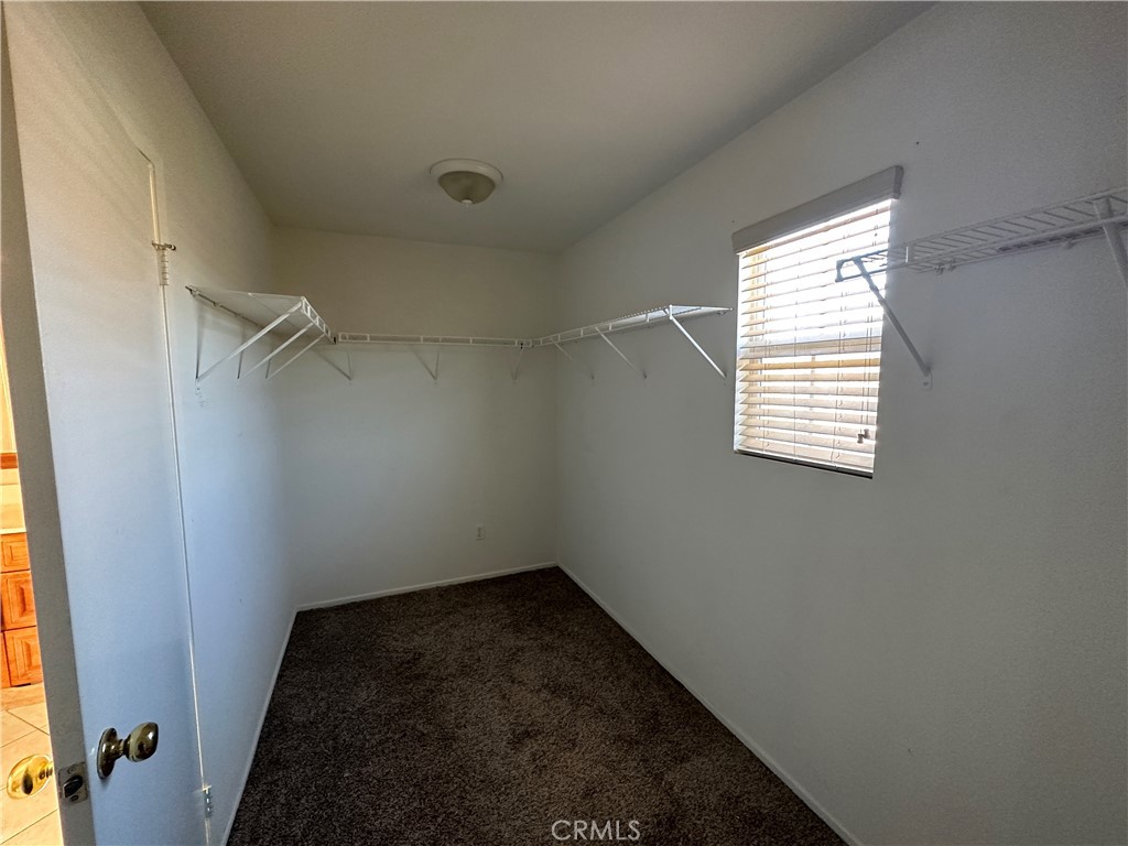 3344 Saguaro Lane