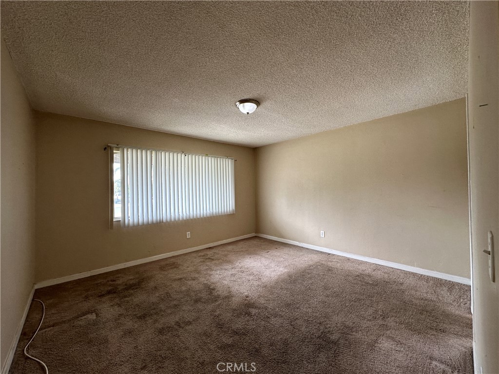 1234 Pumalo Street