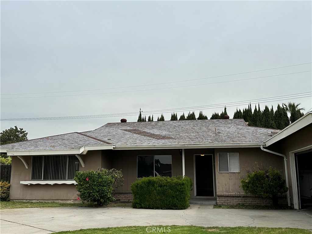 1234 Pumalo Street