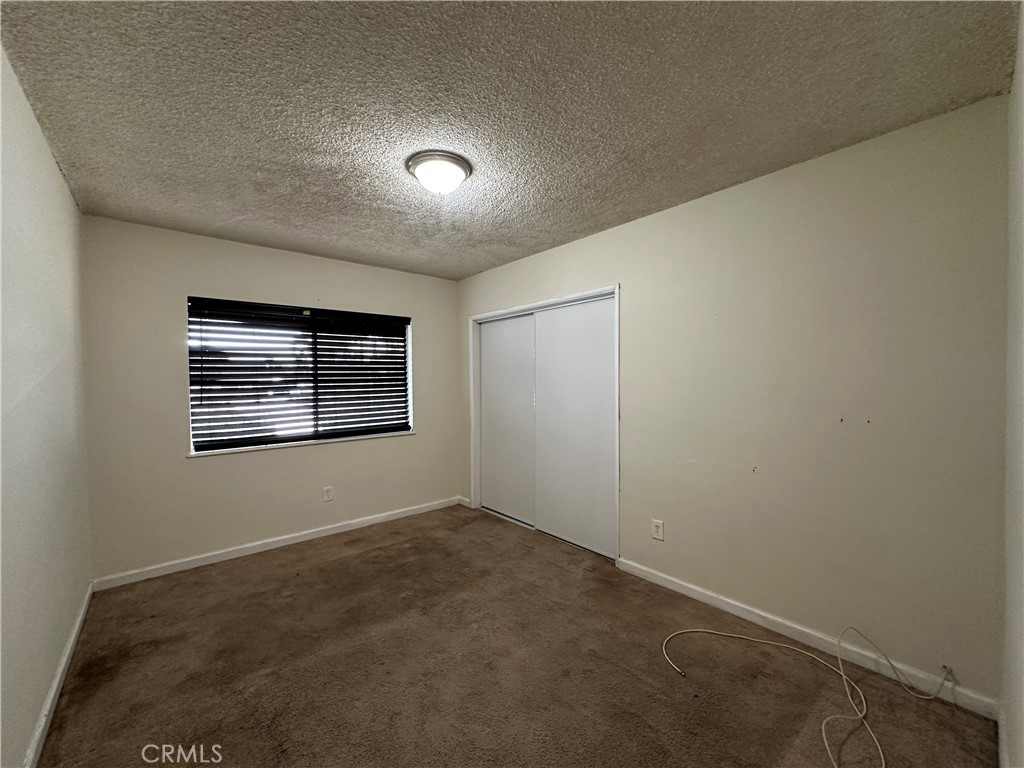 1234 Pumalo Street