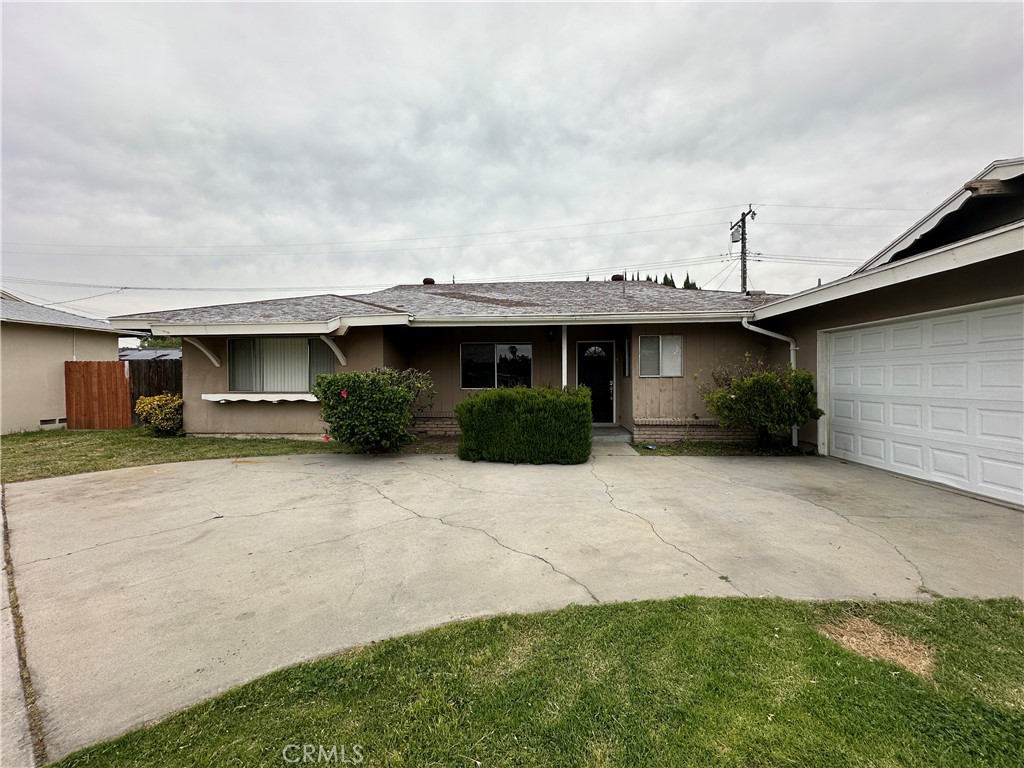 1234 Pumalo Street