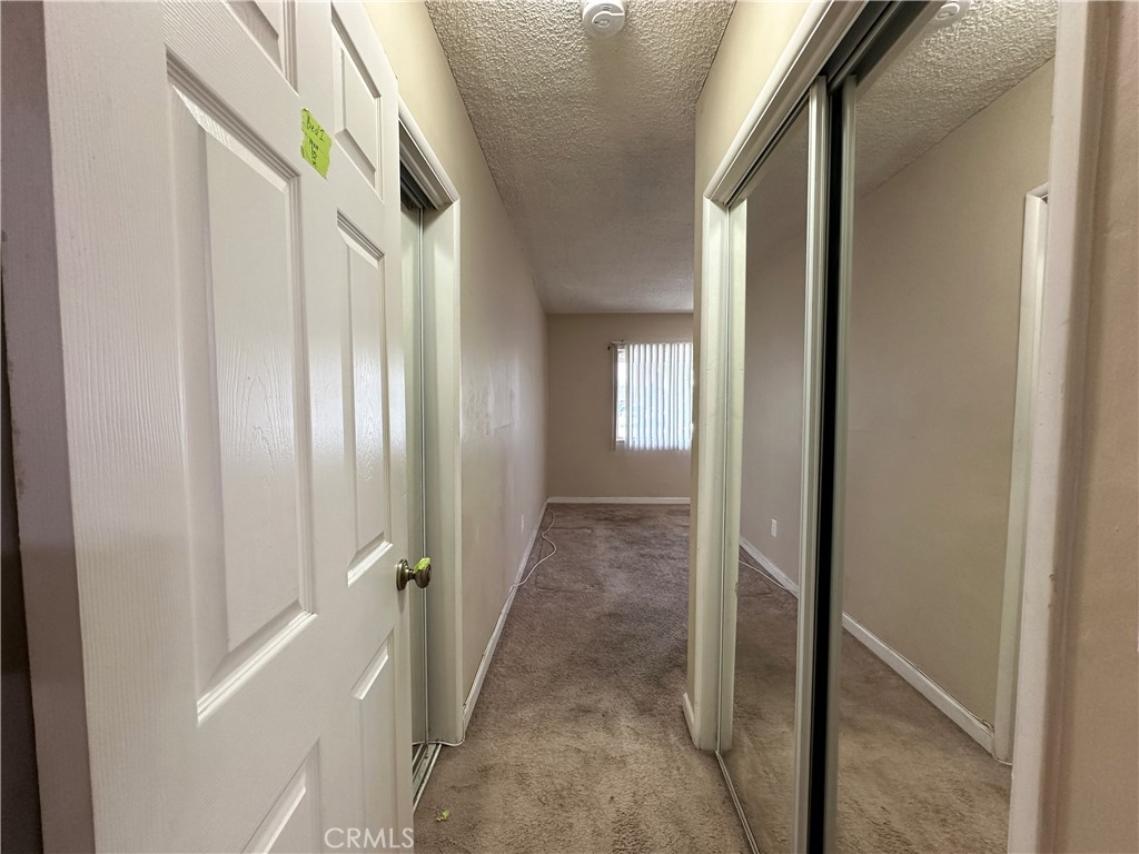 1234 Pumalo Street
