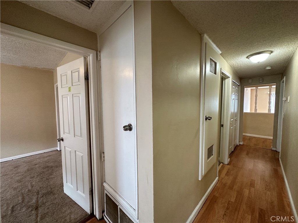 1234 Pumalo Street