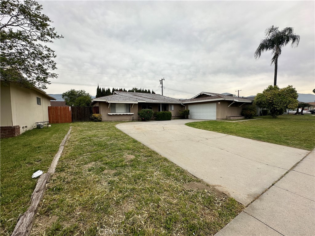 1234 Pumalo Street