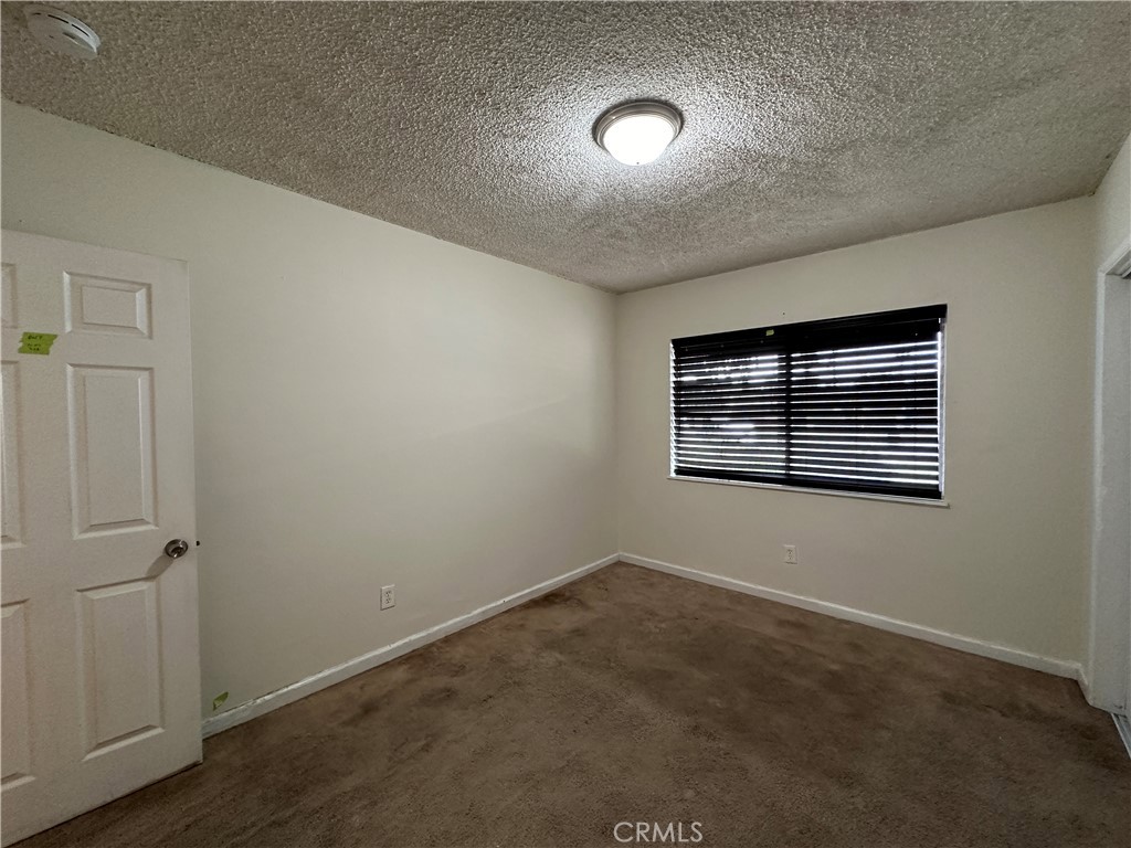 1234 Pumalo Street