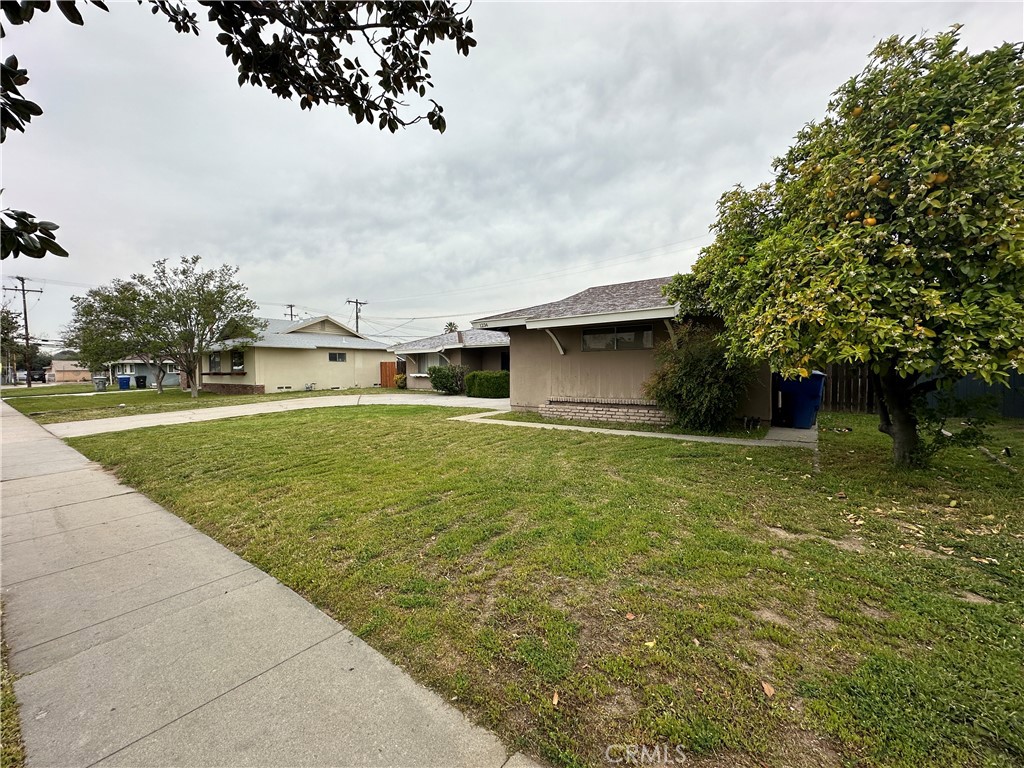 1234 Pumalo Street