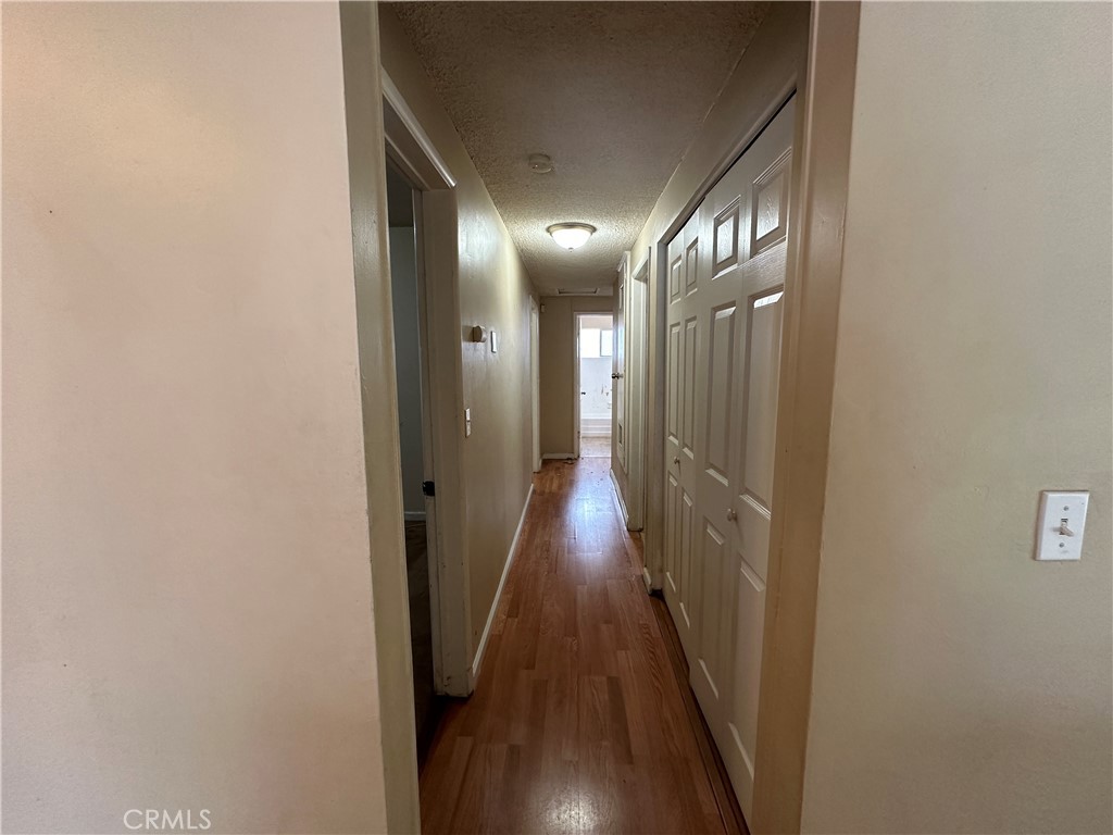 1234 Pumalo Street