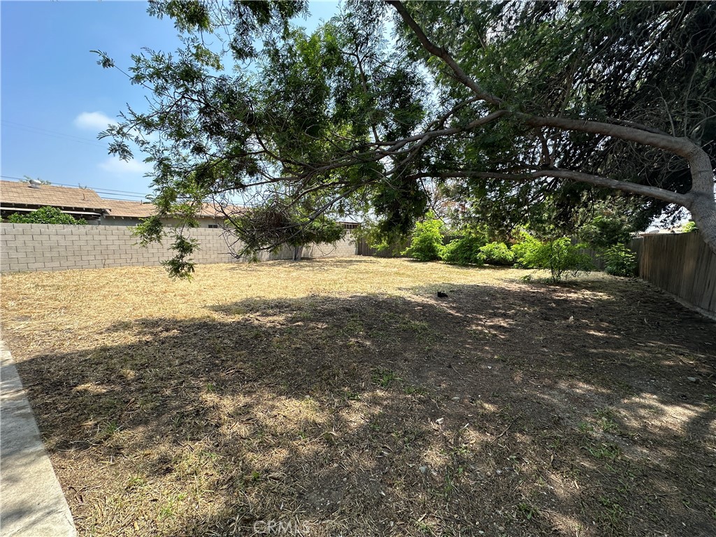 15279 Orchid Street