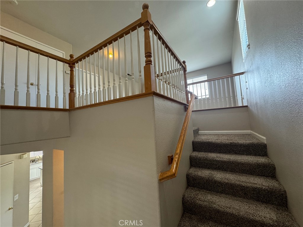 43534 Amazon Street