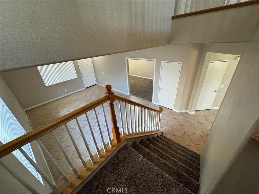43534 Amazon Street