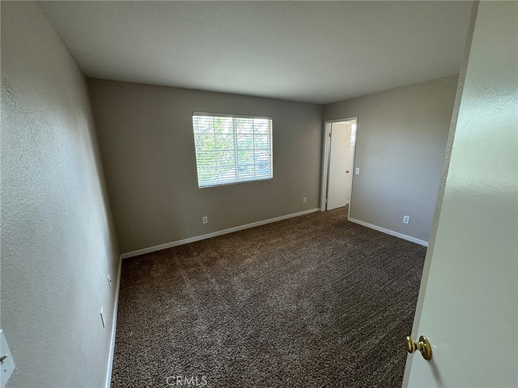 43534 Amazon Street
