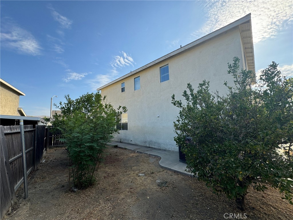 43534 Amazon Street