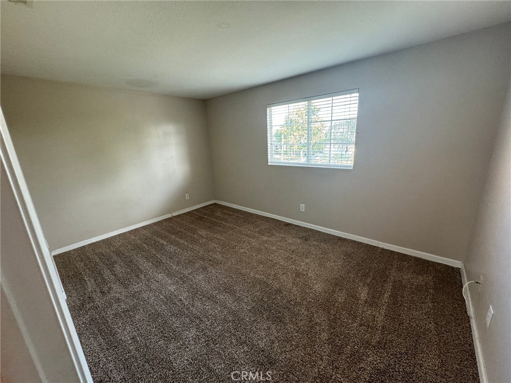 43534 Amazon Street