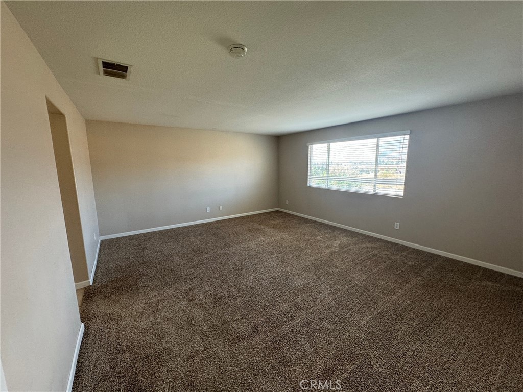 43534 Amazon Street