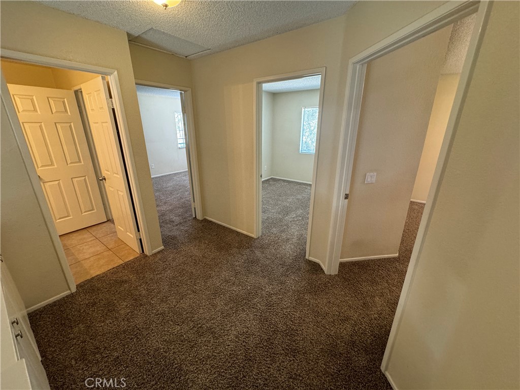 21179 Martynia Court