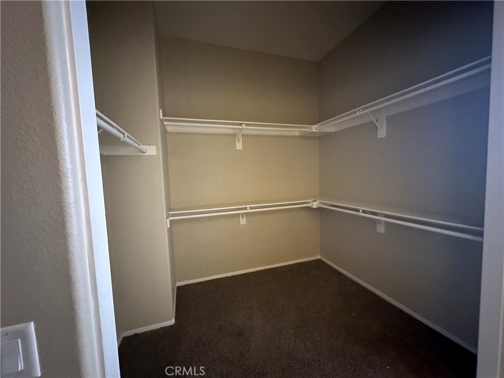 25316 Henry Court