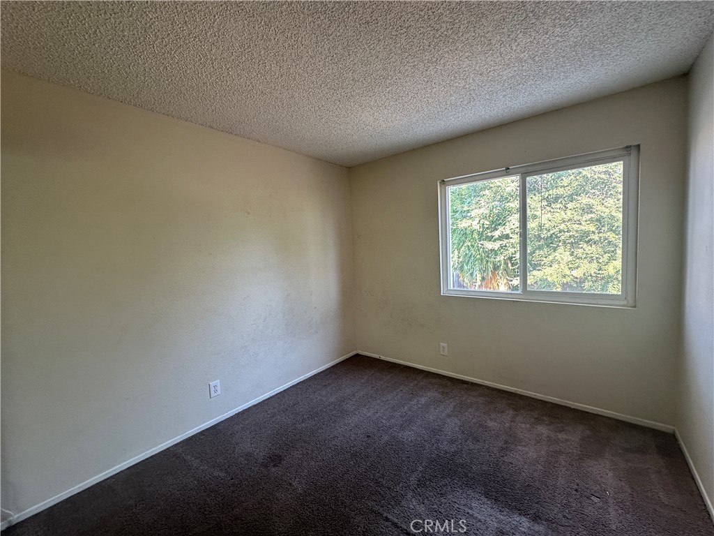 16736 Secretariat Drive