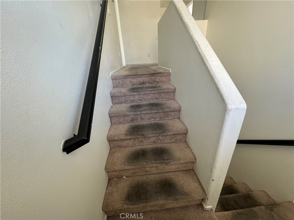 14298 Wildcat Lane