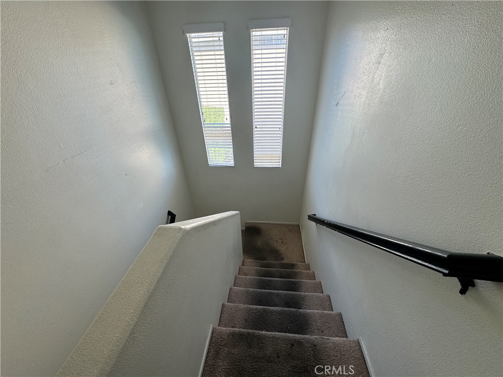 14298 Wildcat Lane