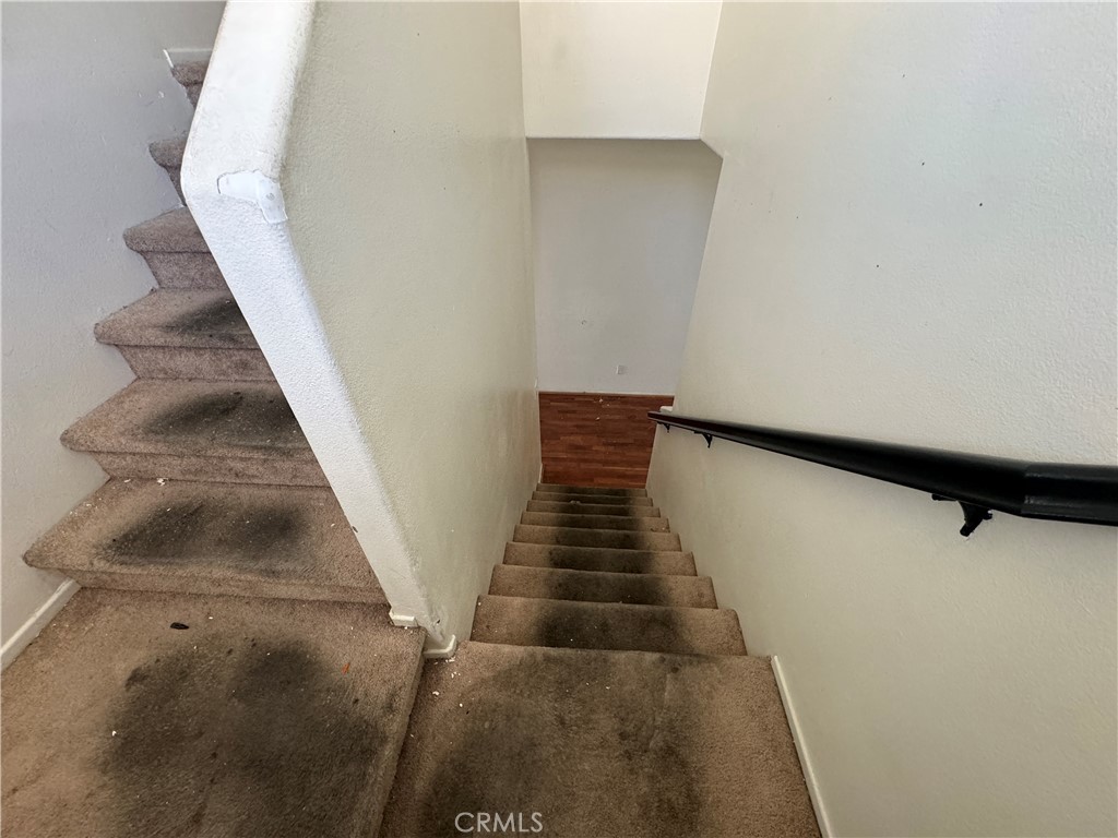 14298 Wildcat Lane