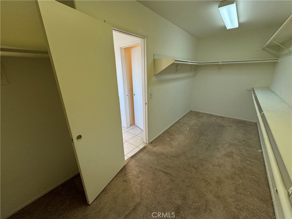14298 Wildcat Lane