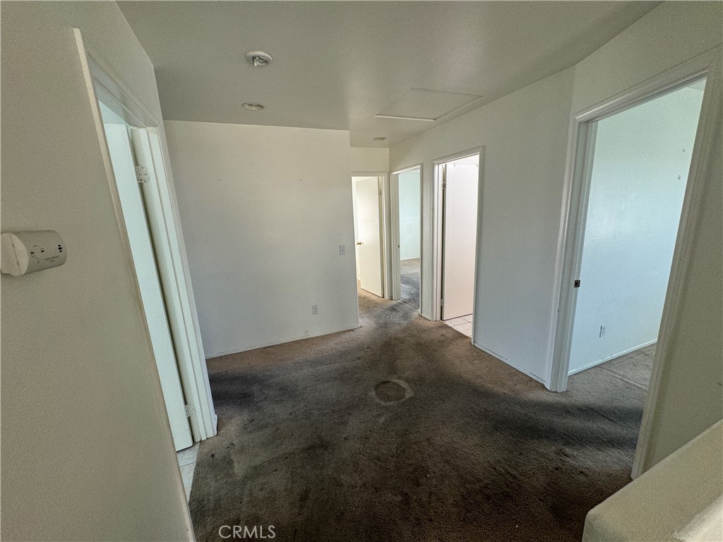 14298 Wildcat Lane