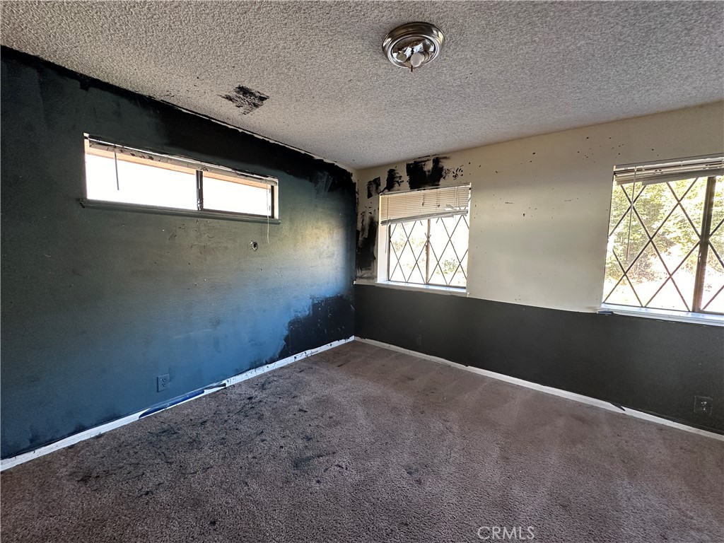 2455 Willow Drive