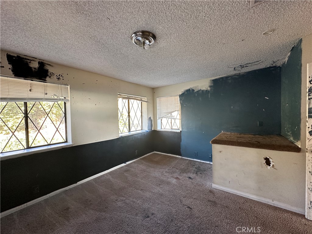 2455 Willow Drive