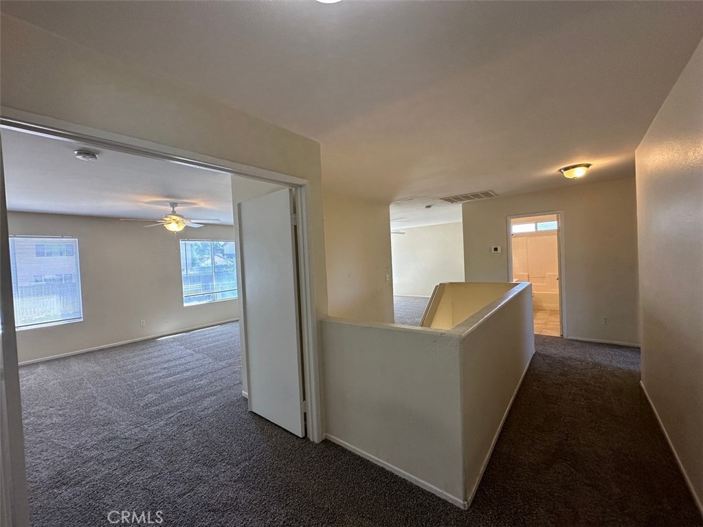 24886 Tigris Lane